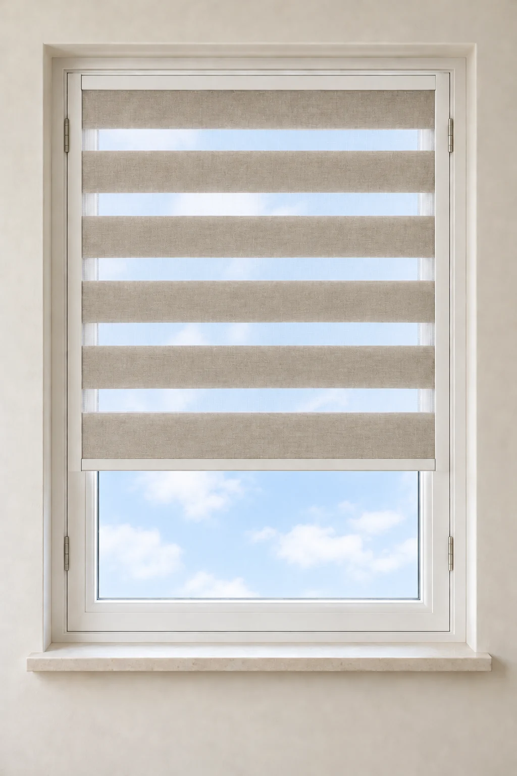TF Day & Night Blinds